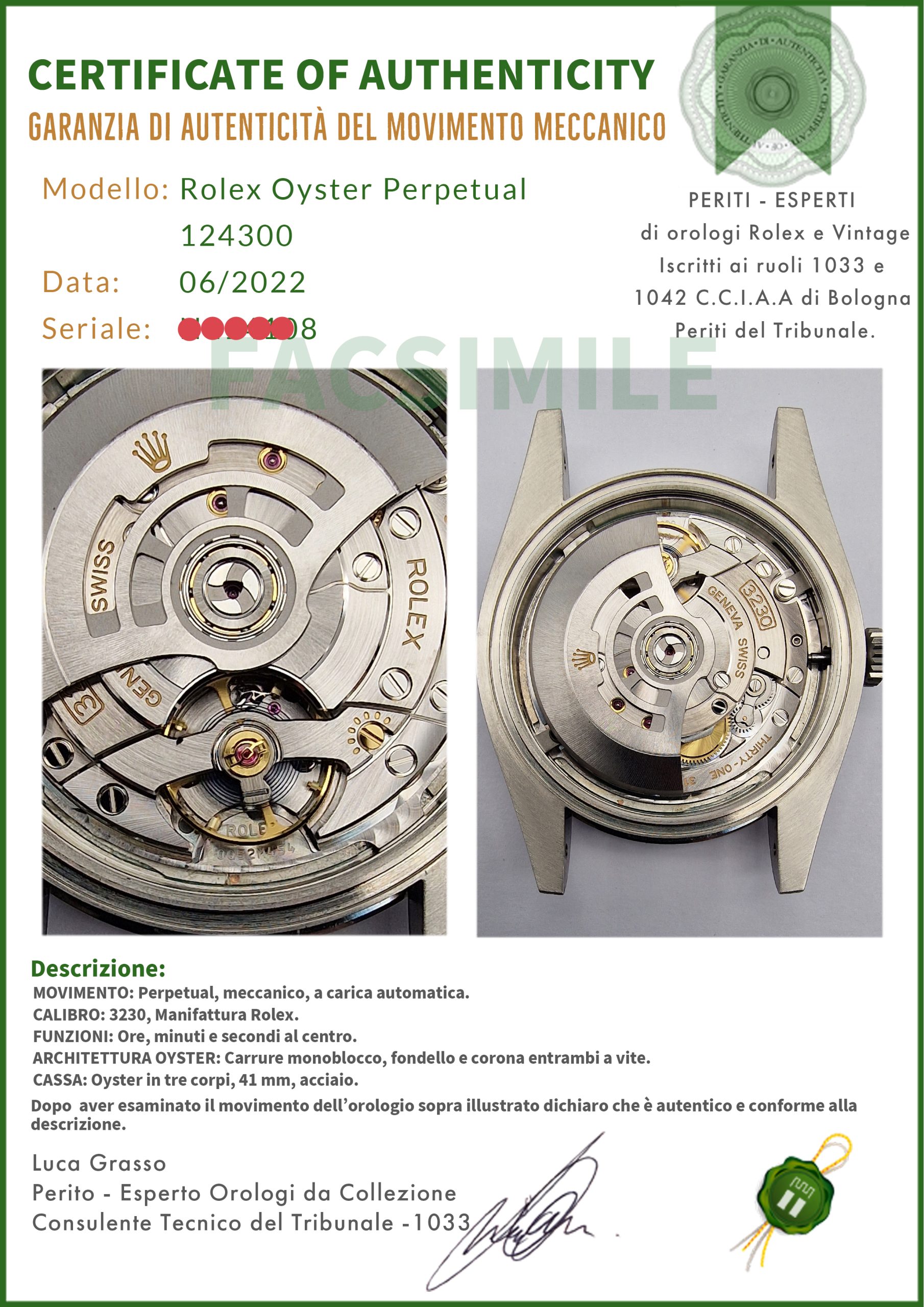 Rolex Oyster Perpetual 41 124300 Oyster Quadrante Argento - immagine 6